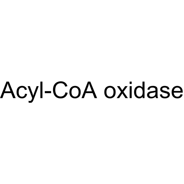 Acyl-CoA oxidase (ACO) 61116-22-1